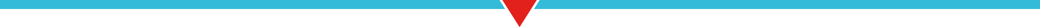 A thin rectangle that's 25% blue and 75% grey. In the middle, there is a red triangle pointing down with a white border around it.